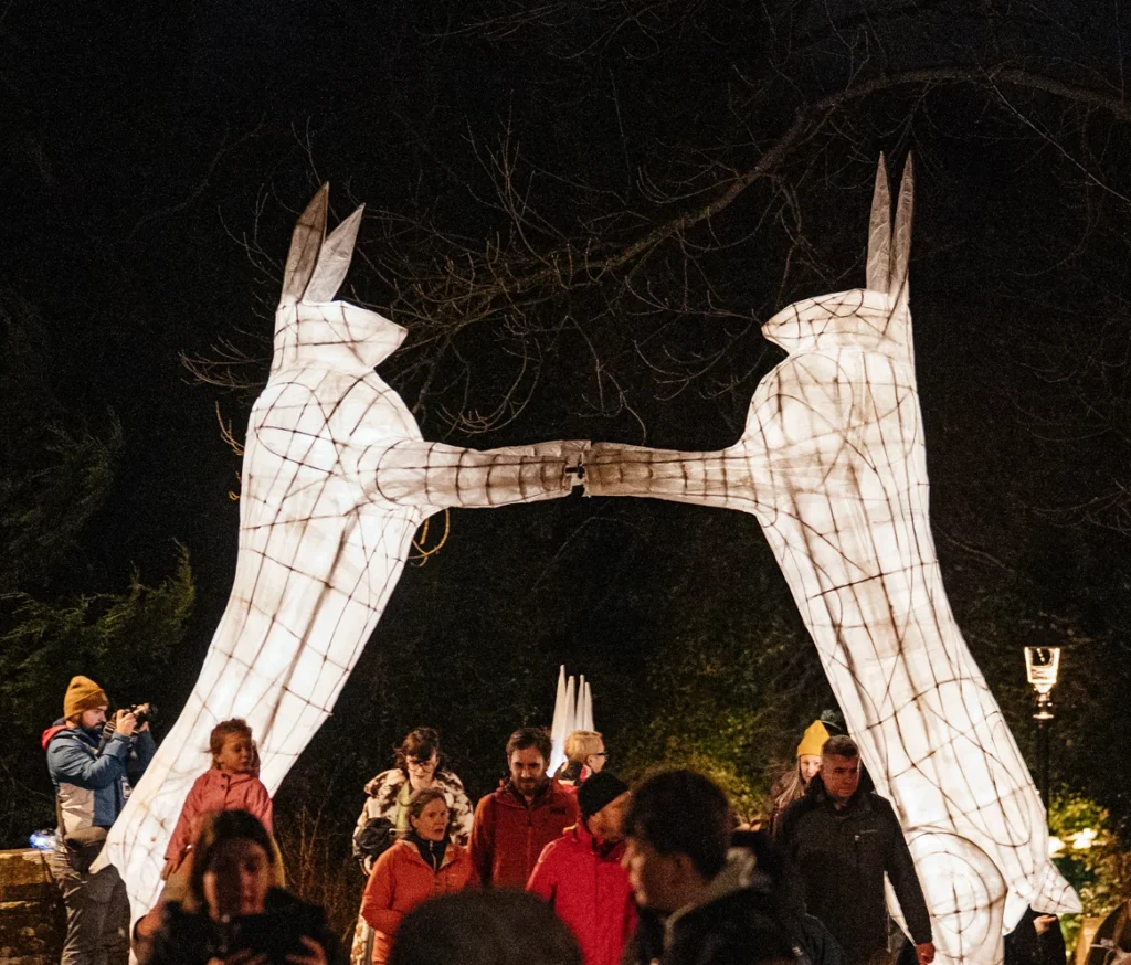 Visitors enjoying the illuminated hare sculptures at Mayo Dark Sky Festival night event.