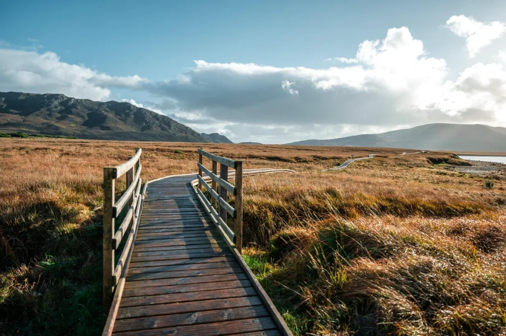 Scenic boardwalk through rugged landscape under open skies at Mayo Dark Sky Festival, Ireland.