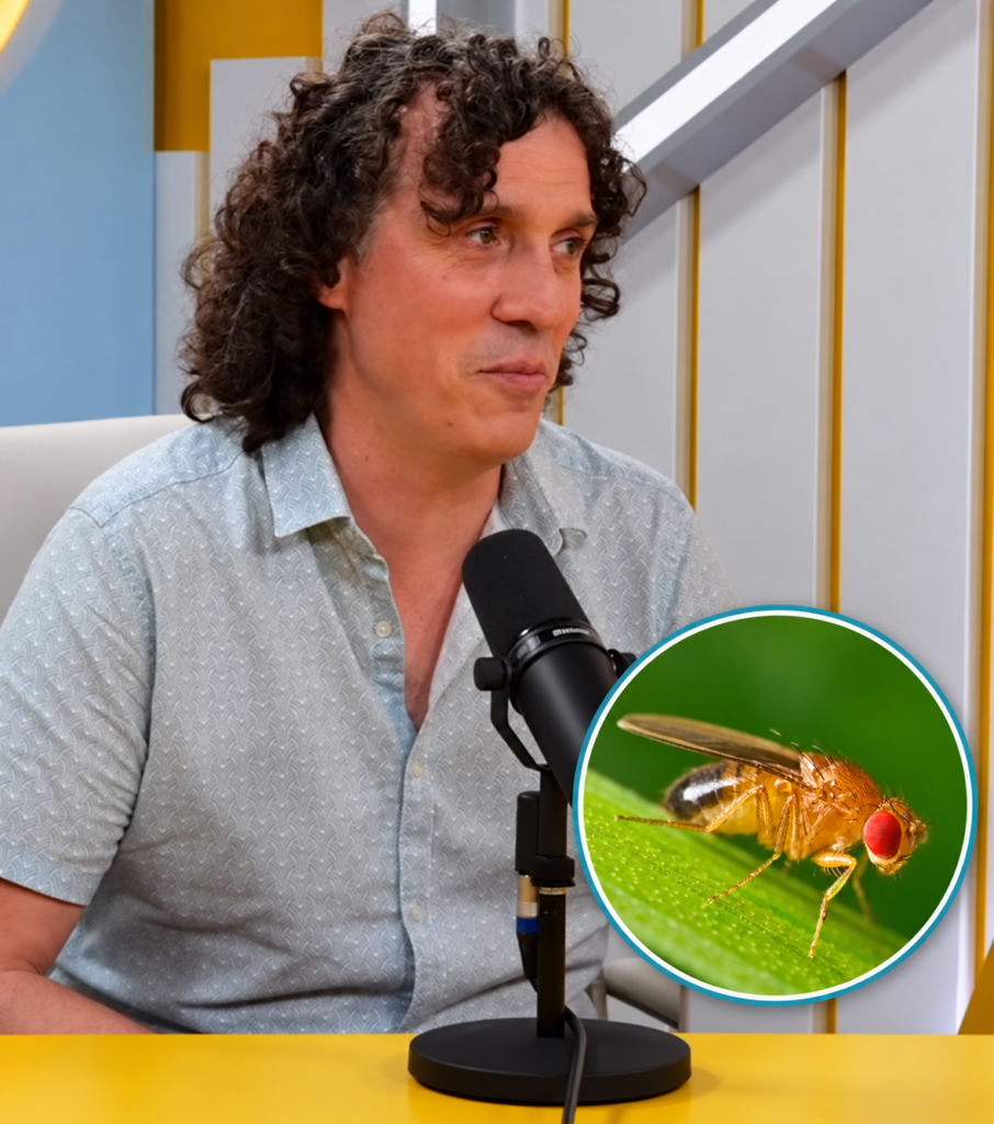 man with insert image of fruit fly