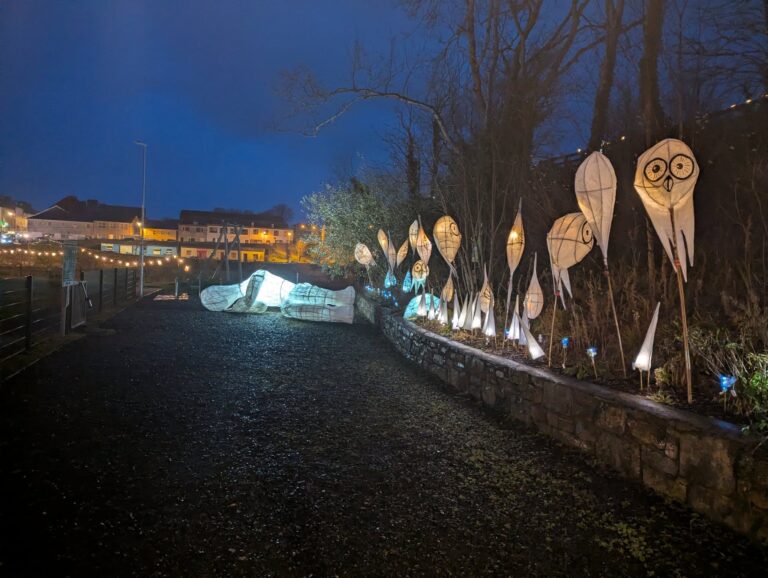 Lantern Walk 4