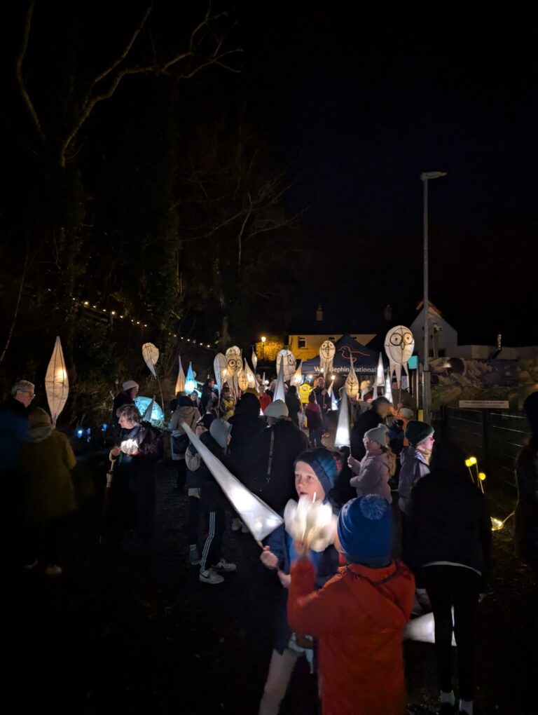 Lantern Walk 6