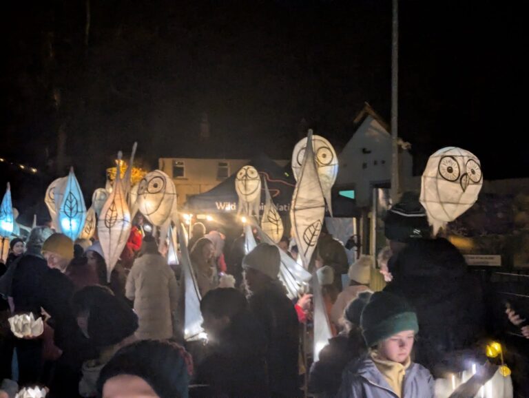 Lantern Walk 7