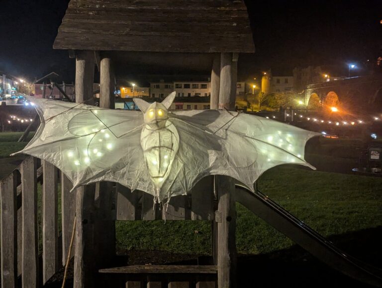 Lantern Walk 8