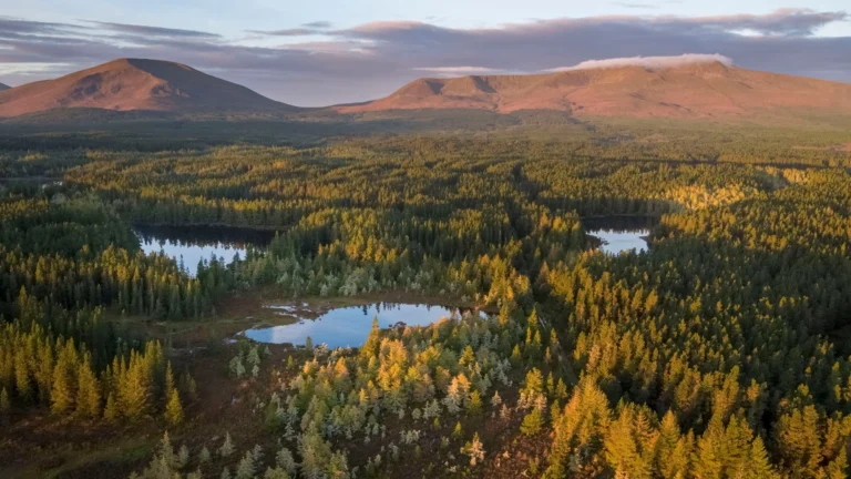 Scenic view of Mayo mountains and forest at sunset for Mayo Dark Sky Festival in Ireland.